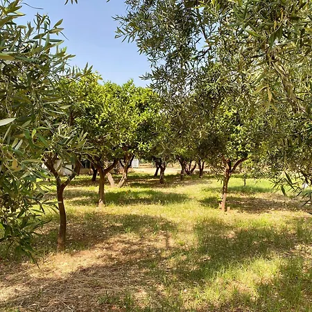 San Matteo